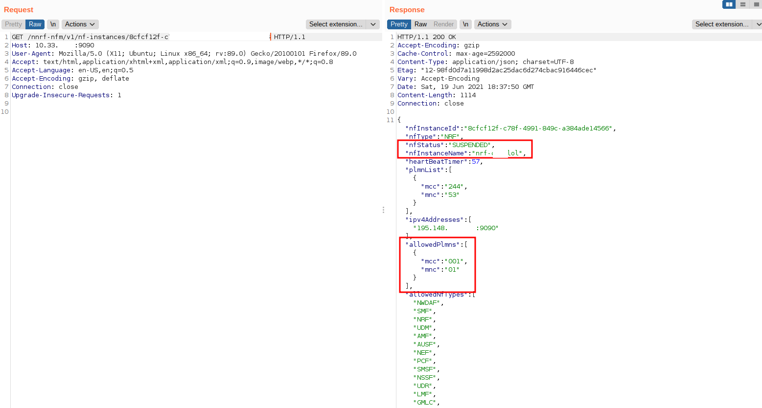 Result of a fake instance create in the NRF